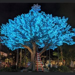 Meet your Posher, Aliya